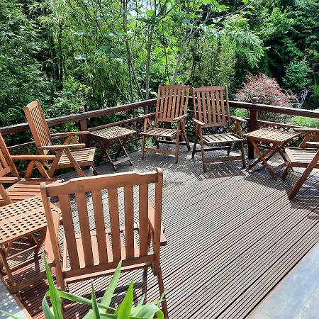 Sagan زاماردي